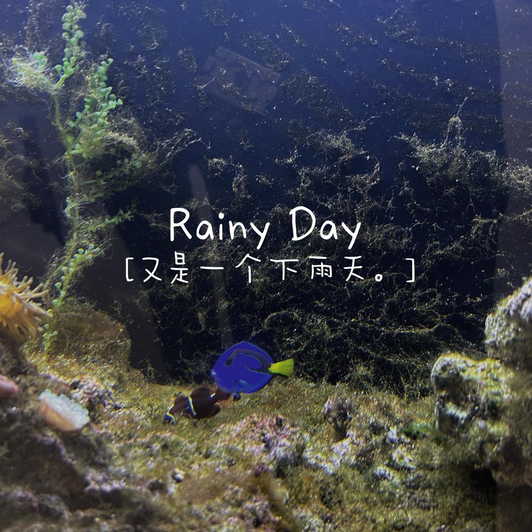 毛毛虫（失态了）