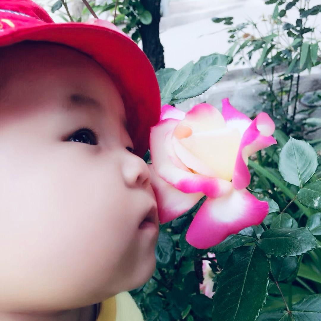 芬芳