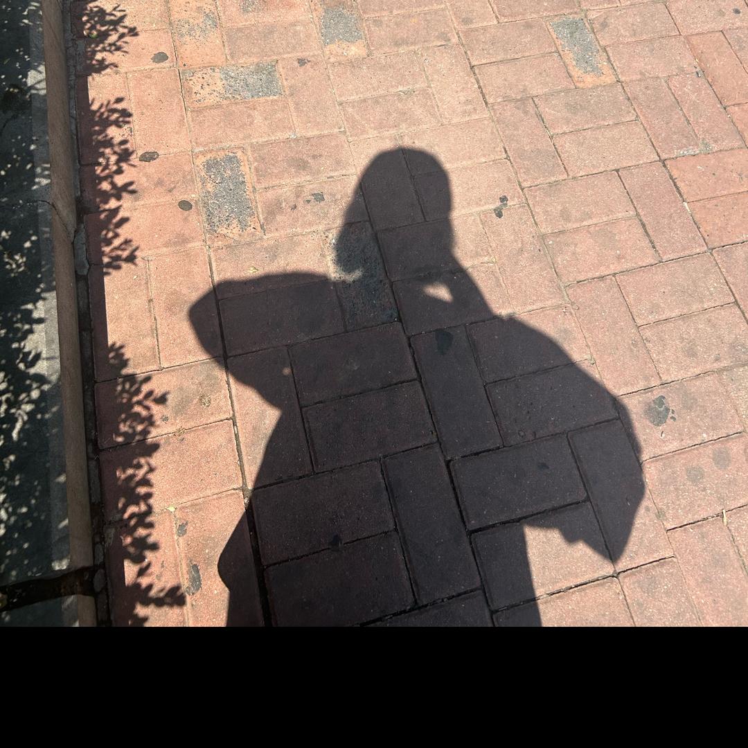 烦人的雷子