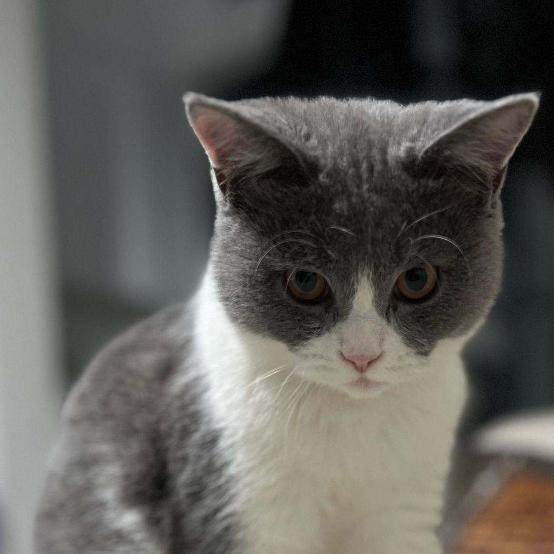 想吃三块钱酱香饼