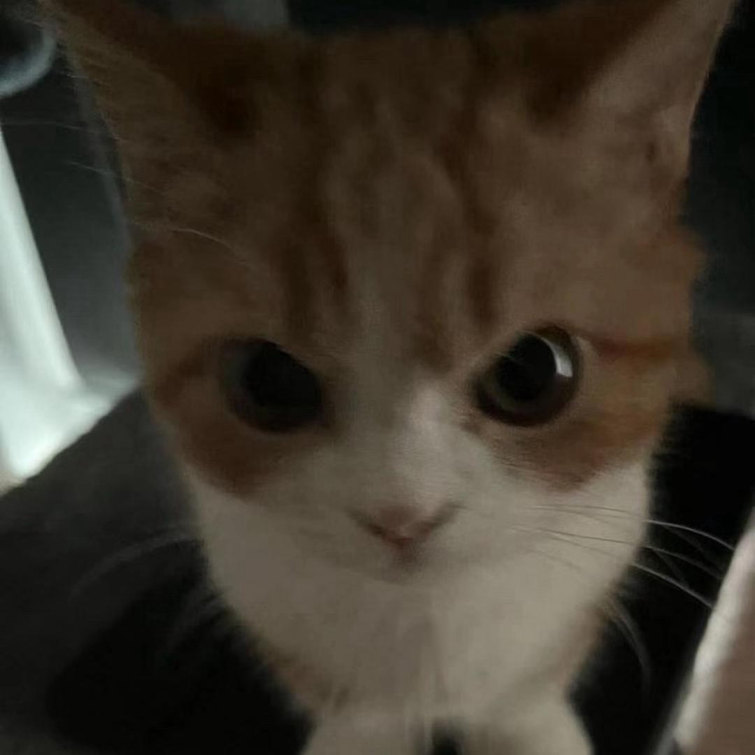 炸元宵