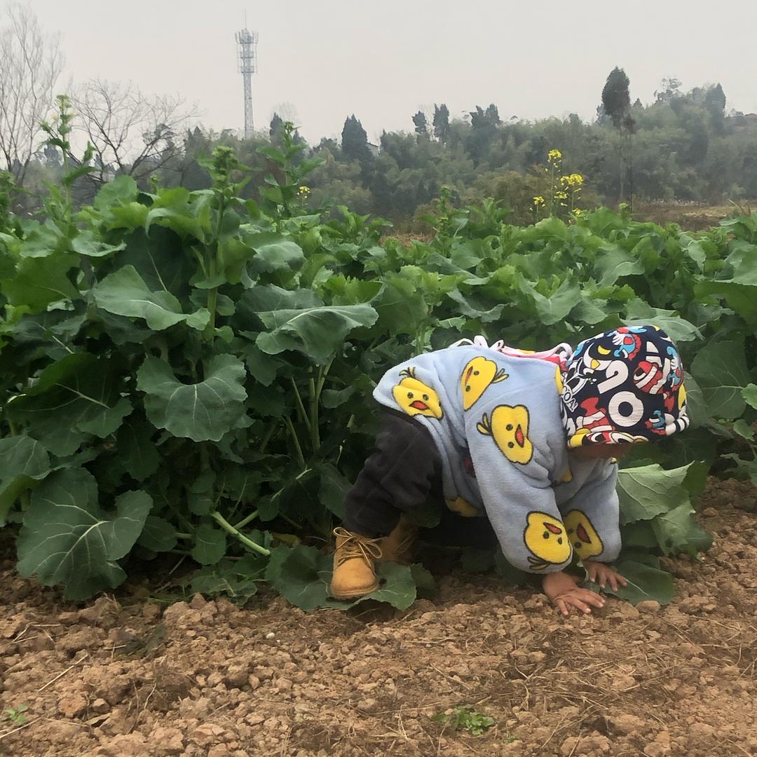 天天上当受骗没心没肺