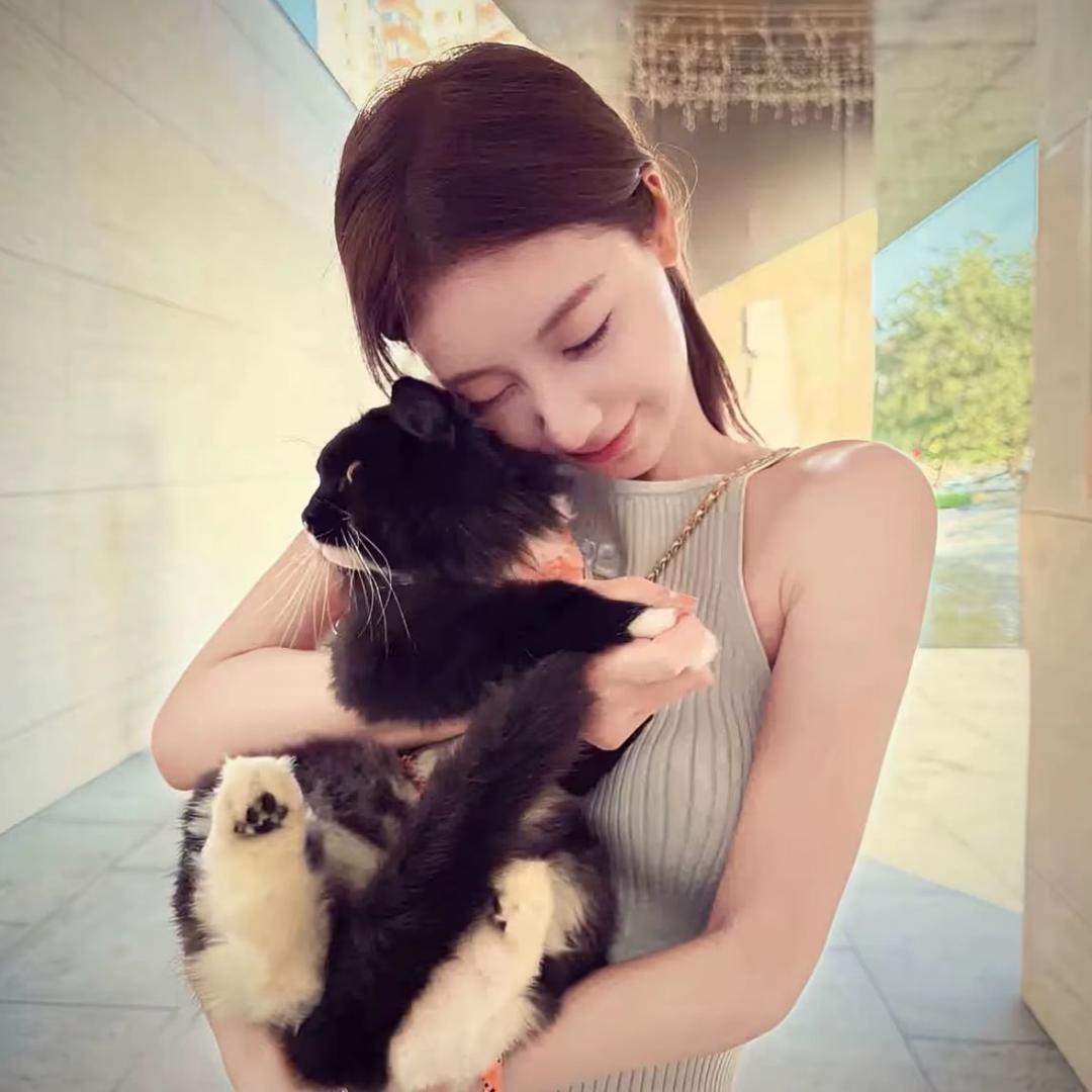 爱吃美味猫煲