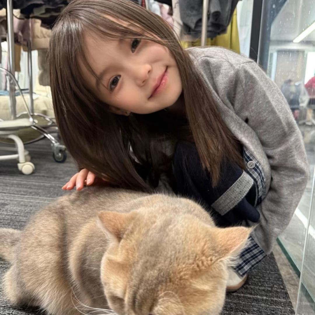 我伪装不悲伤