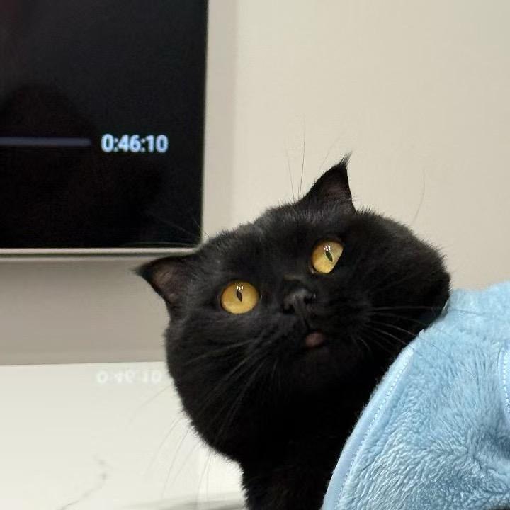 行走的肥肉 甲乙丙丁