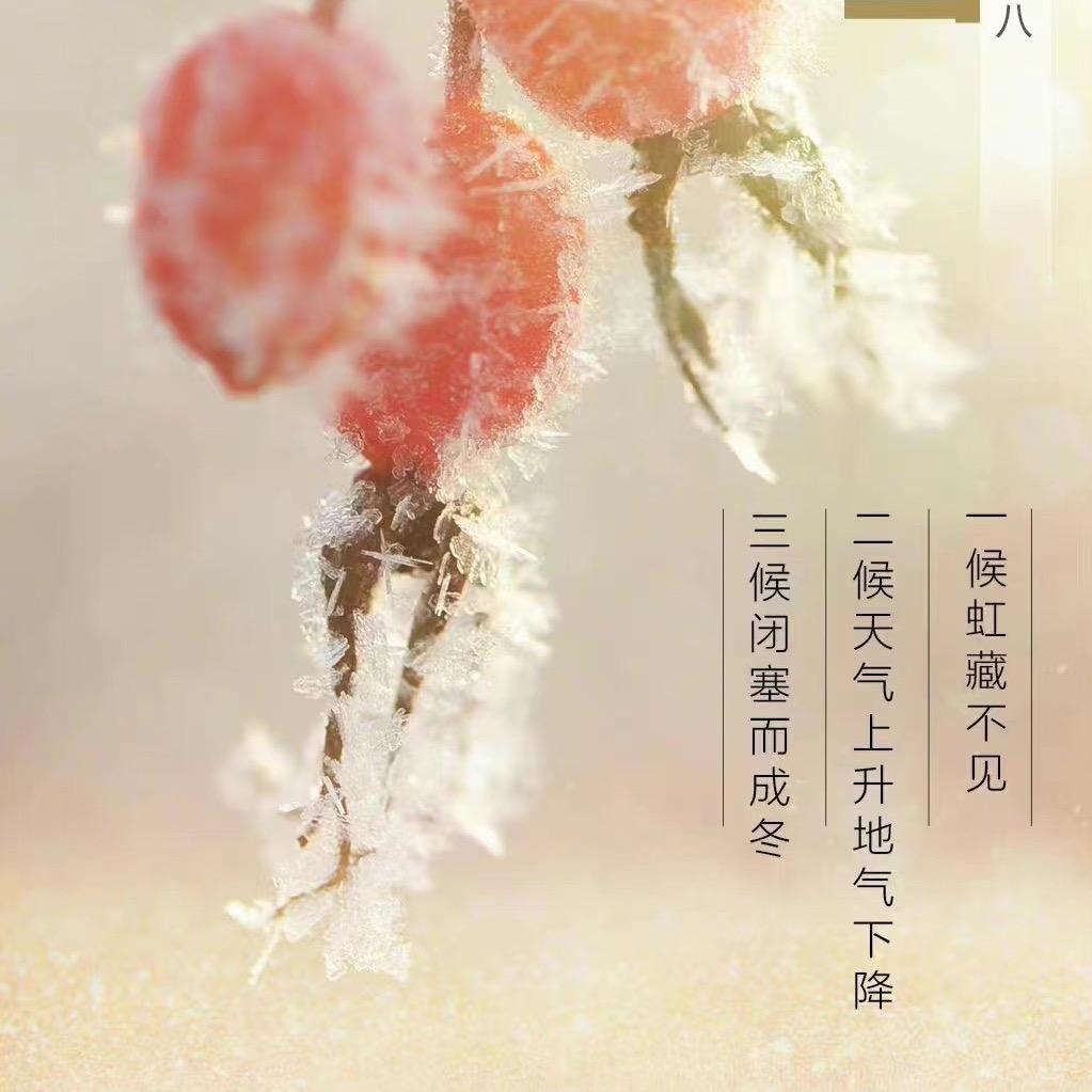 心若菩提