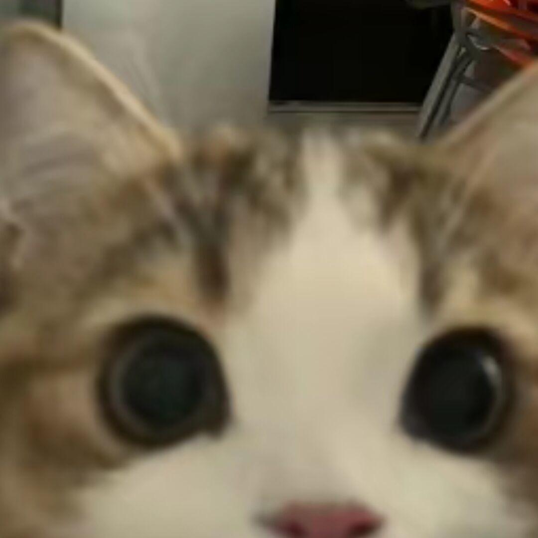 想自己
