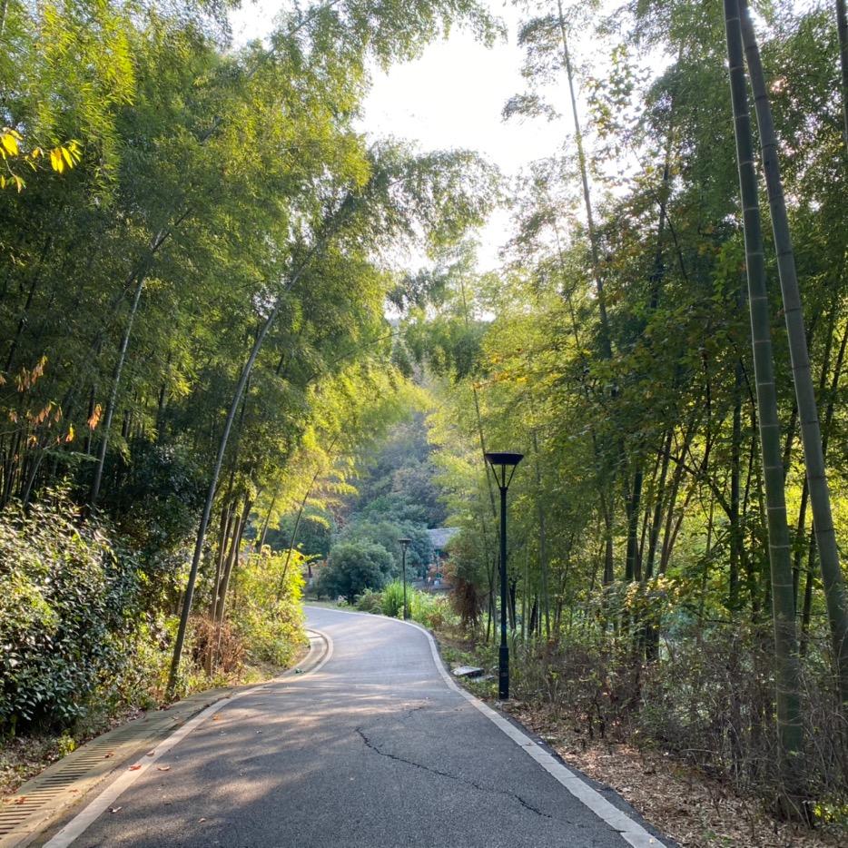 小雅益智