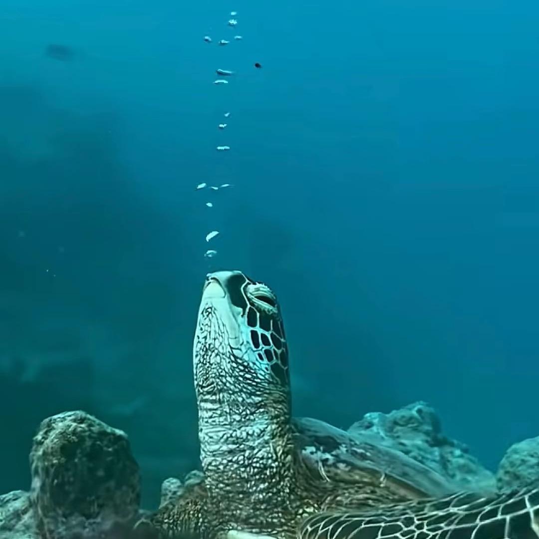 呵呵我笑了