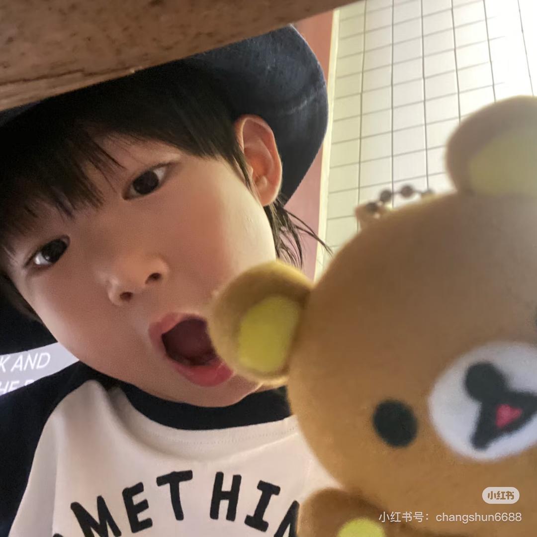 🐷……🐷