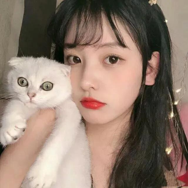 悦悦在襄阳中集❤️