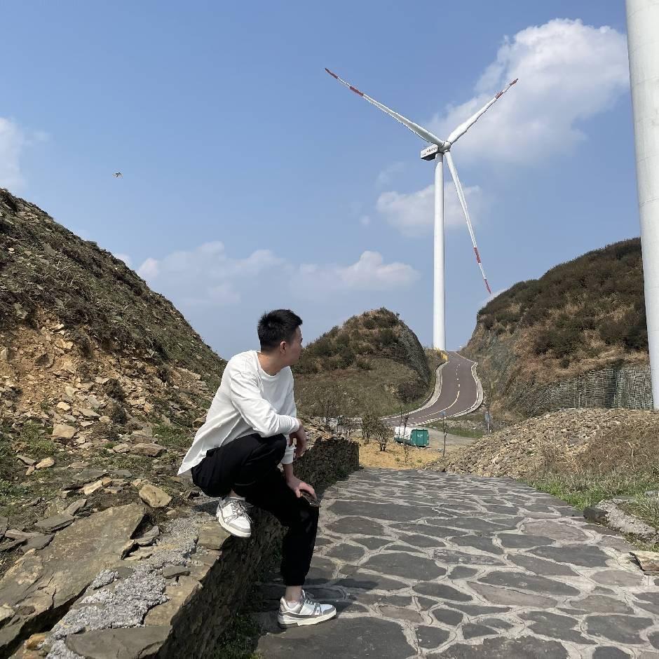 白鸽迎风而来、