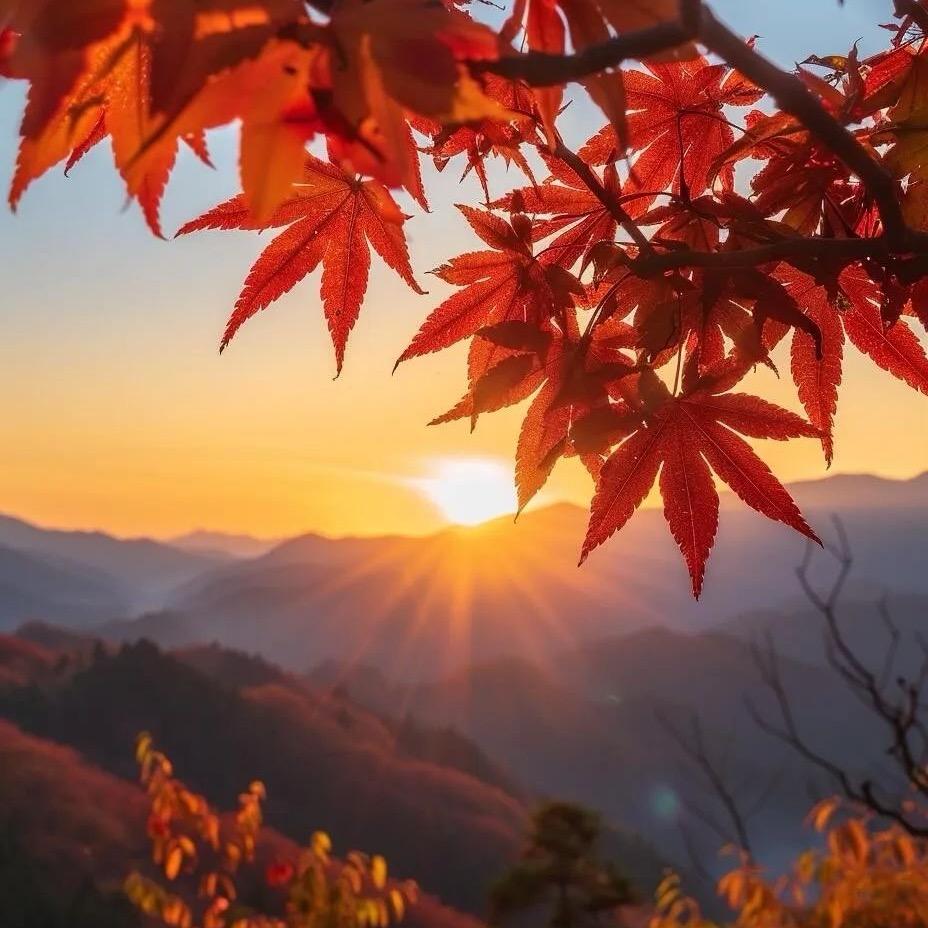 随遇而安