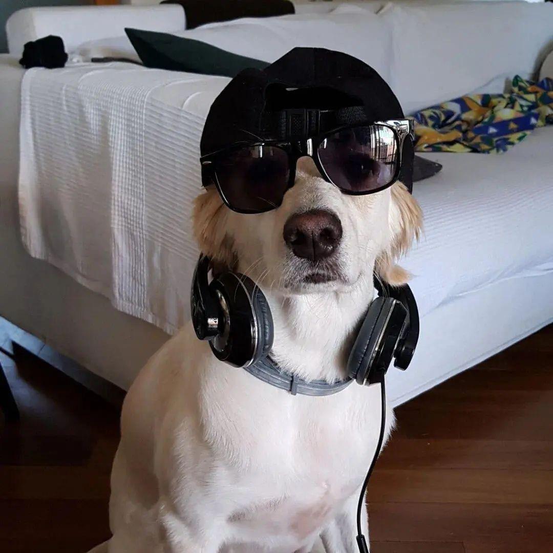 一切都是最好的安排.