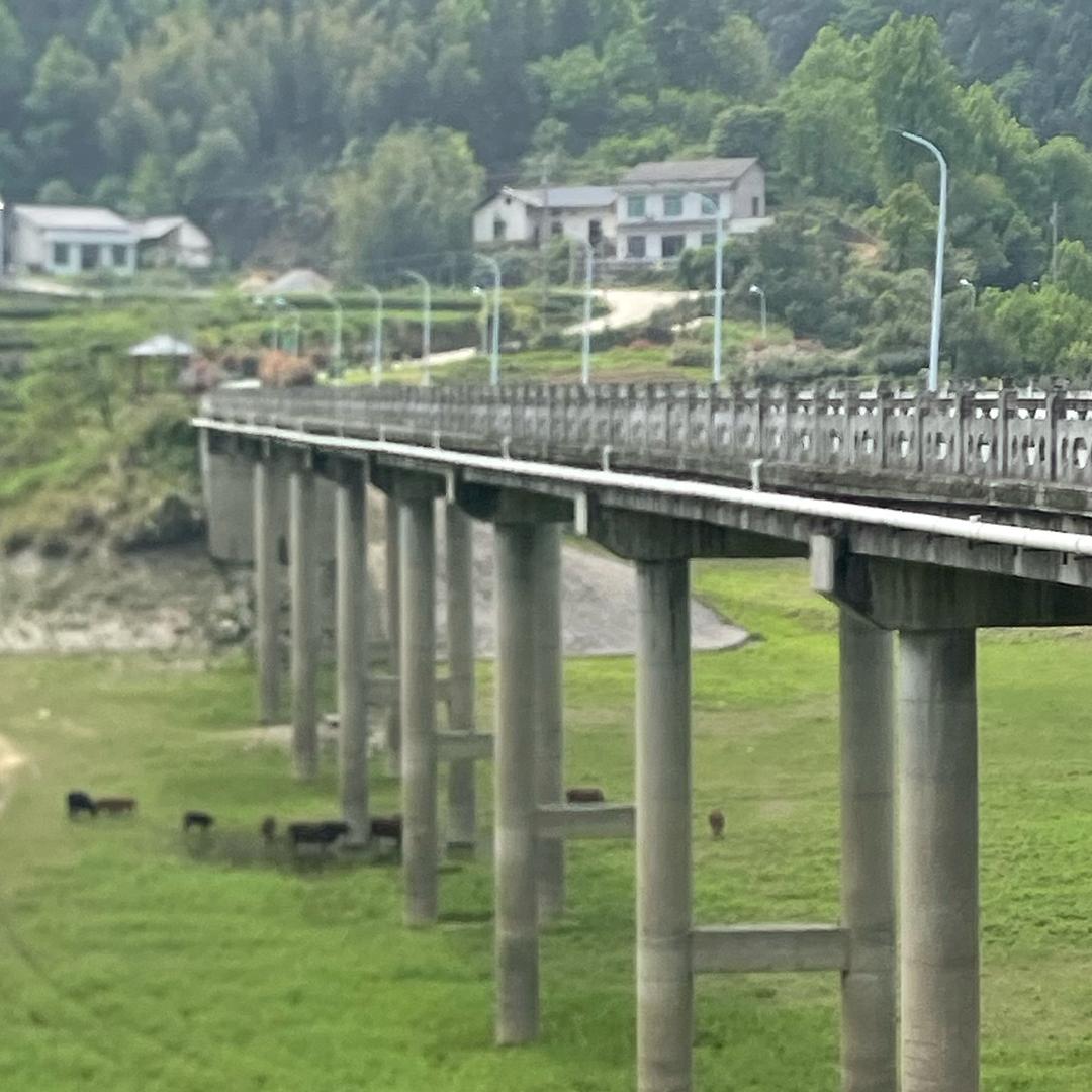 天涯