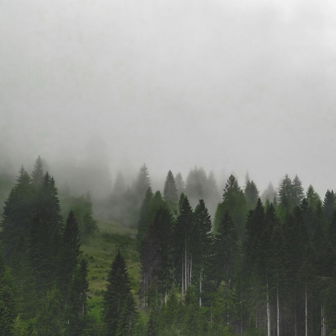 我在地球当卧底