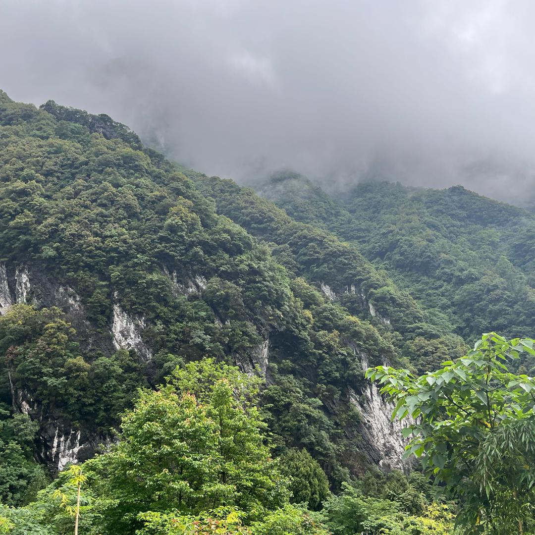 福财接福