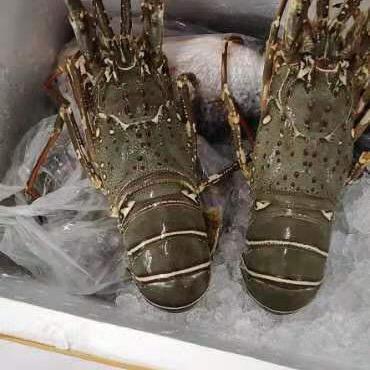 乡村普通大厨家宴服务中心