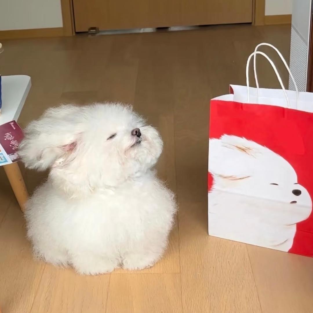 一小知