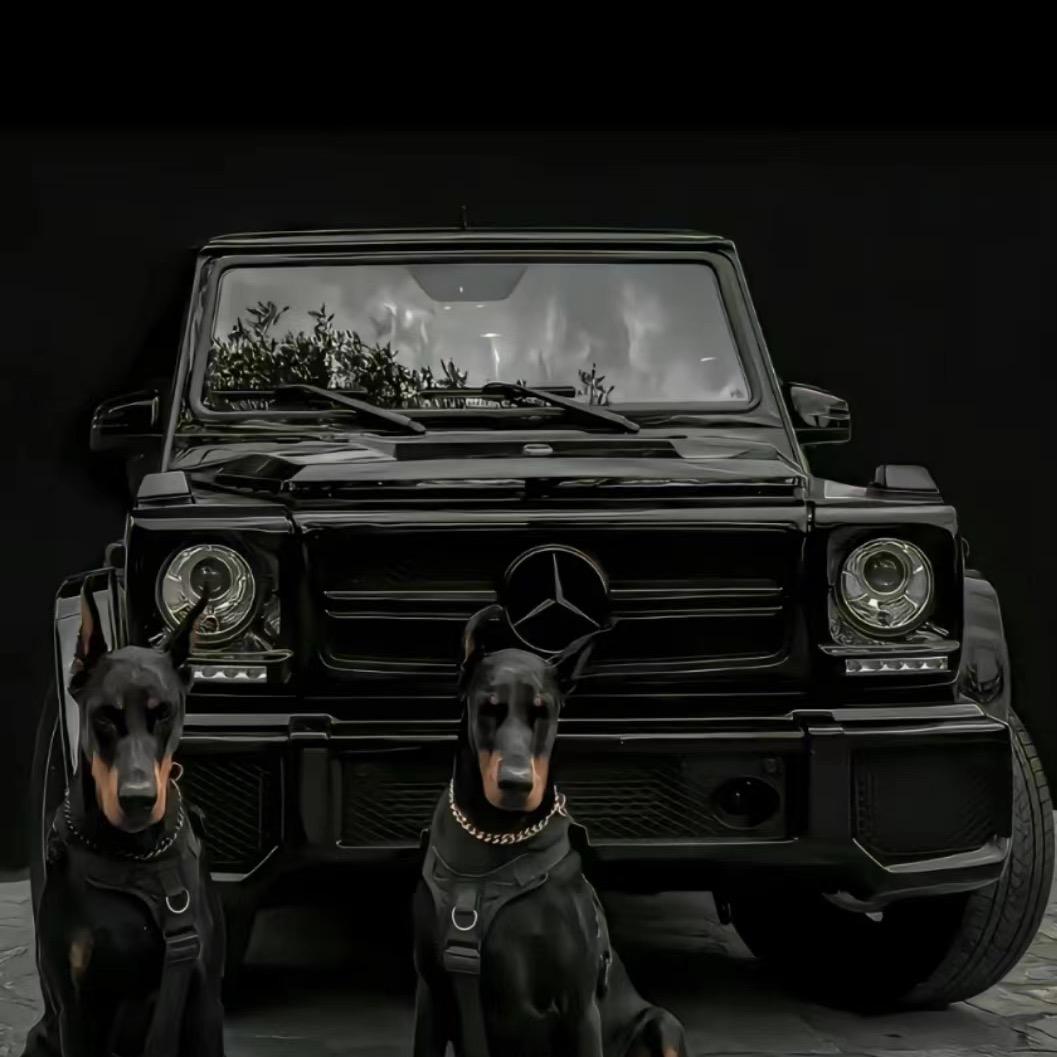 鼎顿-尕黑娃说车