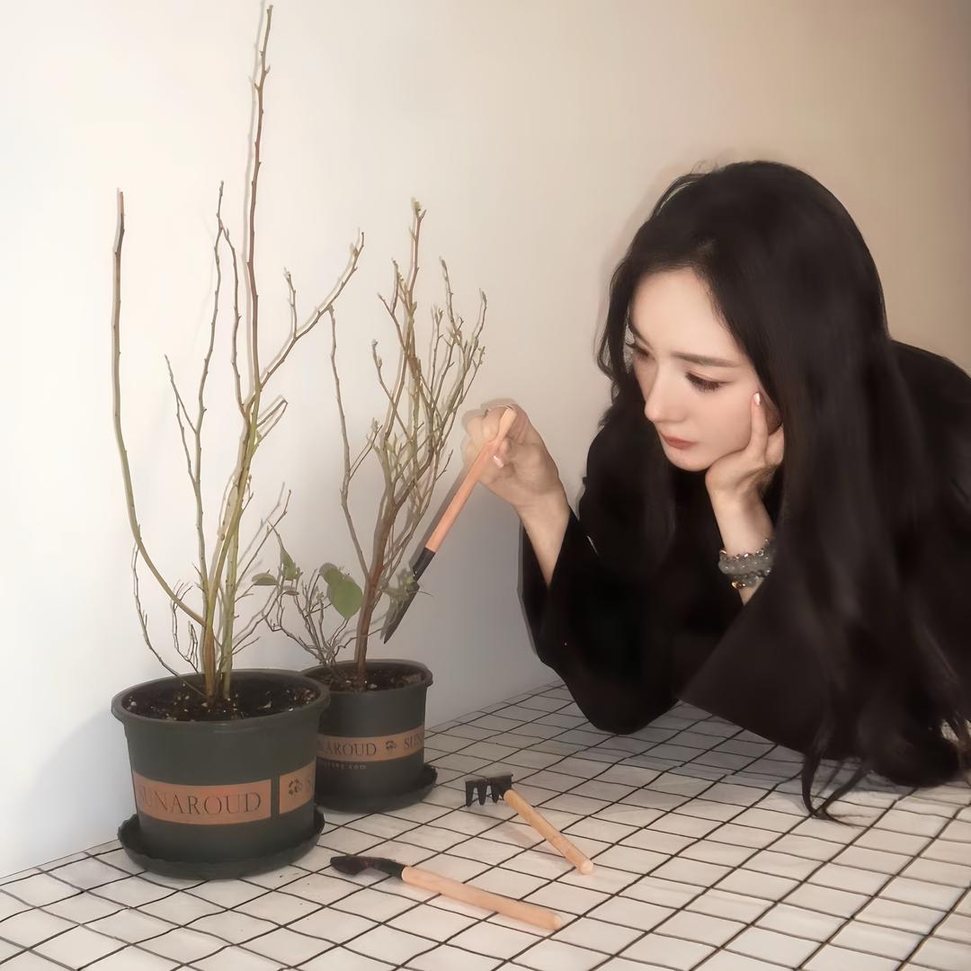 千颂伊Andy