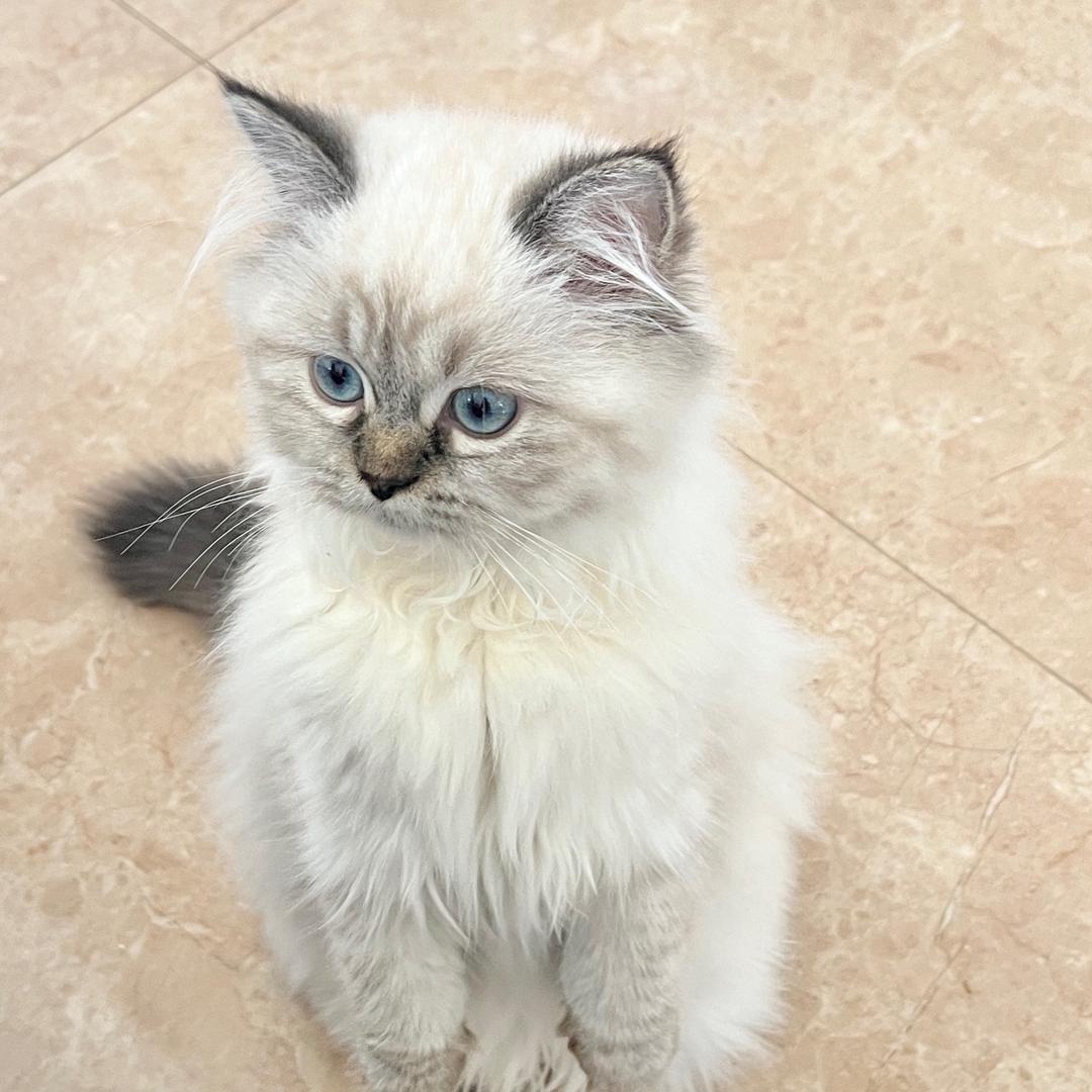 🟢🟢🟢🟢🟢🟢🟢