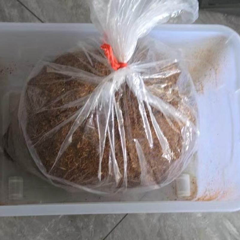 纸管点击看过来私信不回复-简介有说明