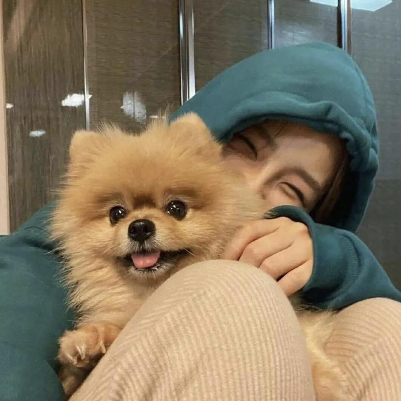 Dongxy