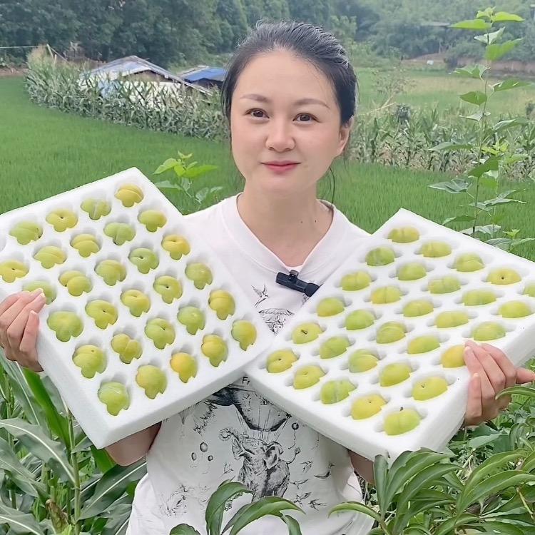 小芳苗圃官方帐号
