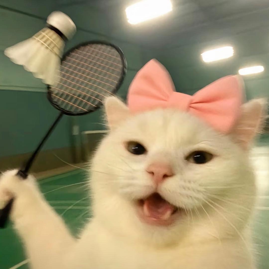 是阿慧呀👩‍🏫