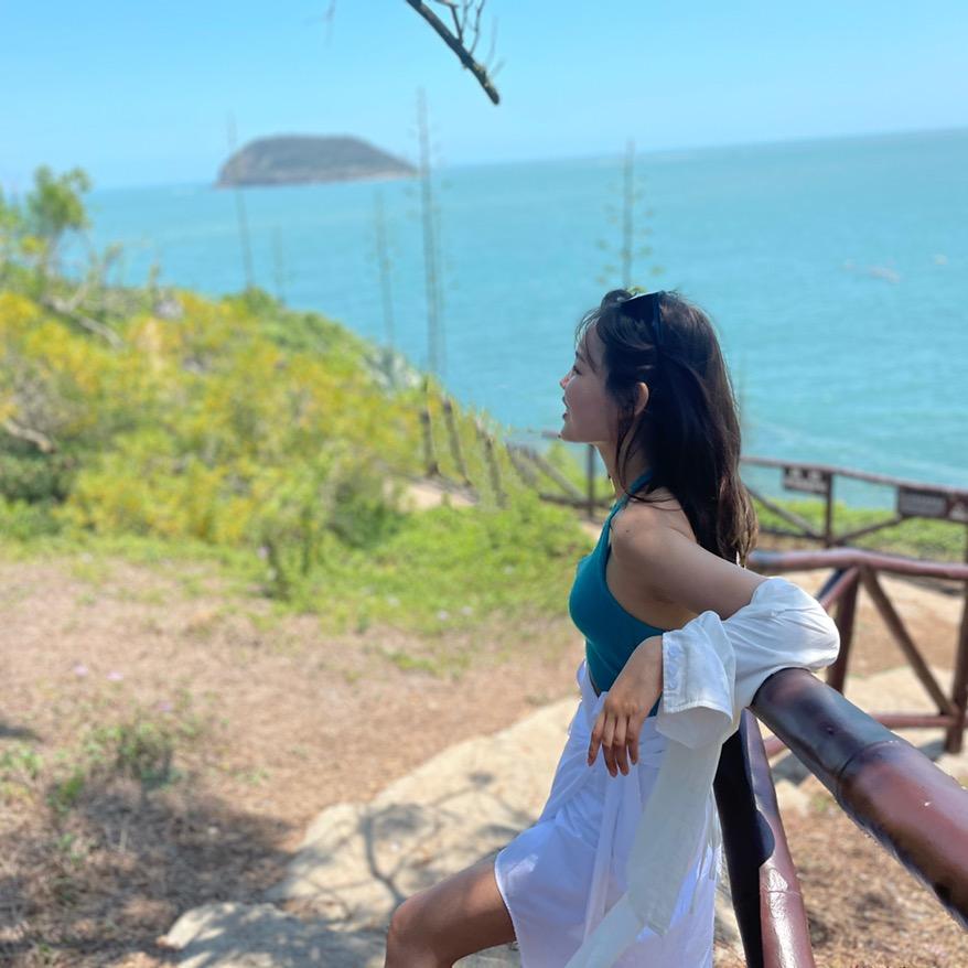 我的小鹿撞死了.