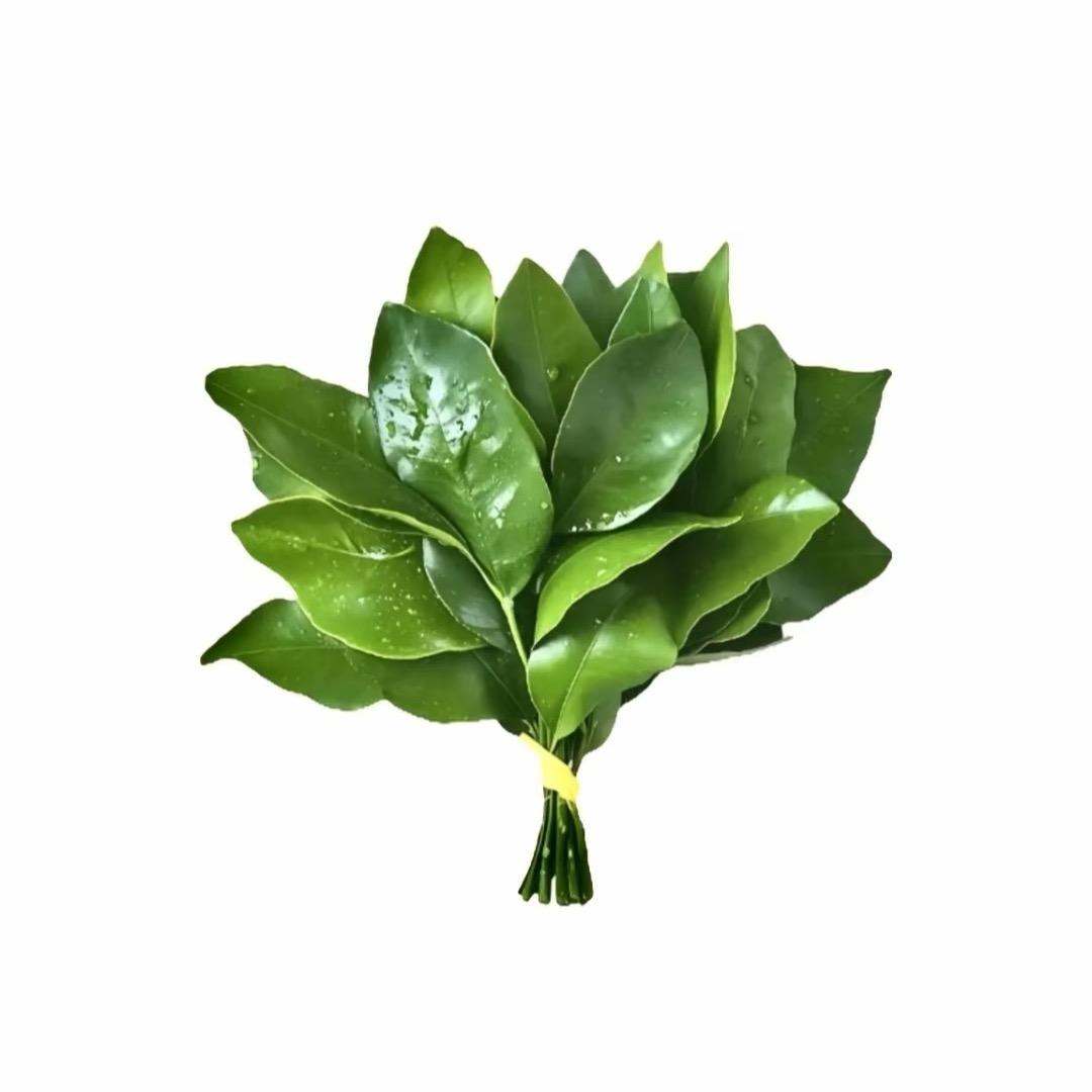 木子ovo