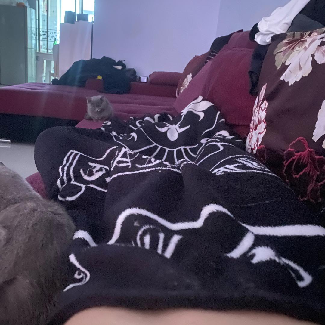 …
