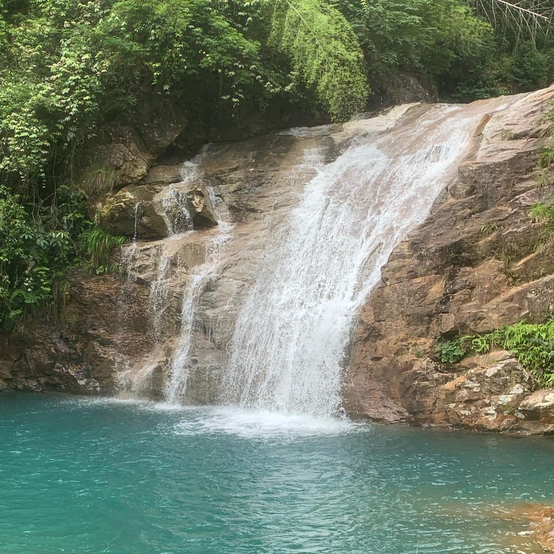 易驾