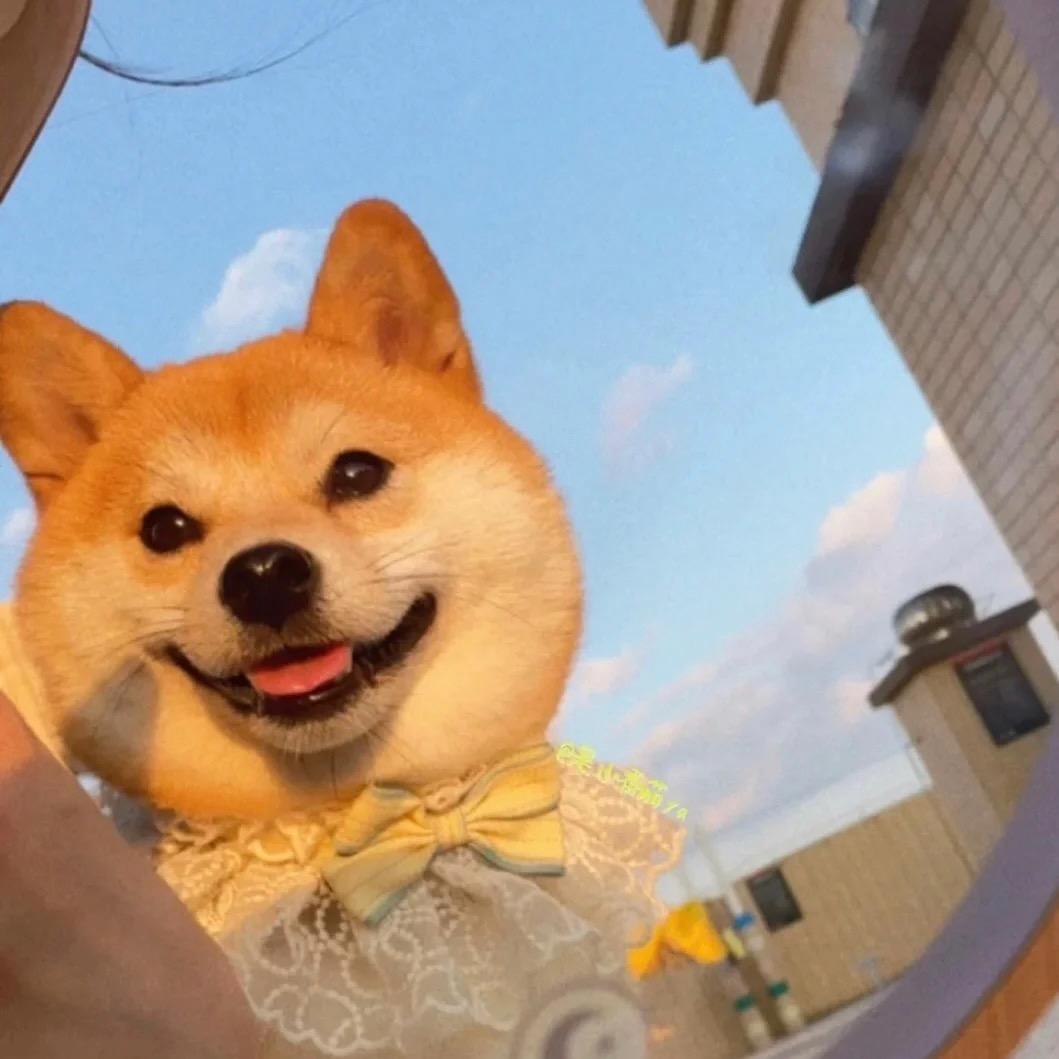 Miss徐的随想笔记本$