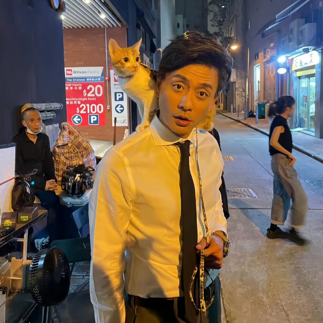 猫有九命唯有一心