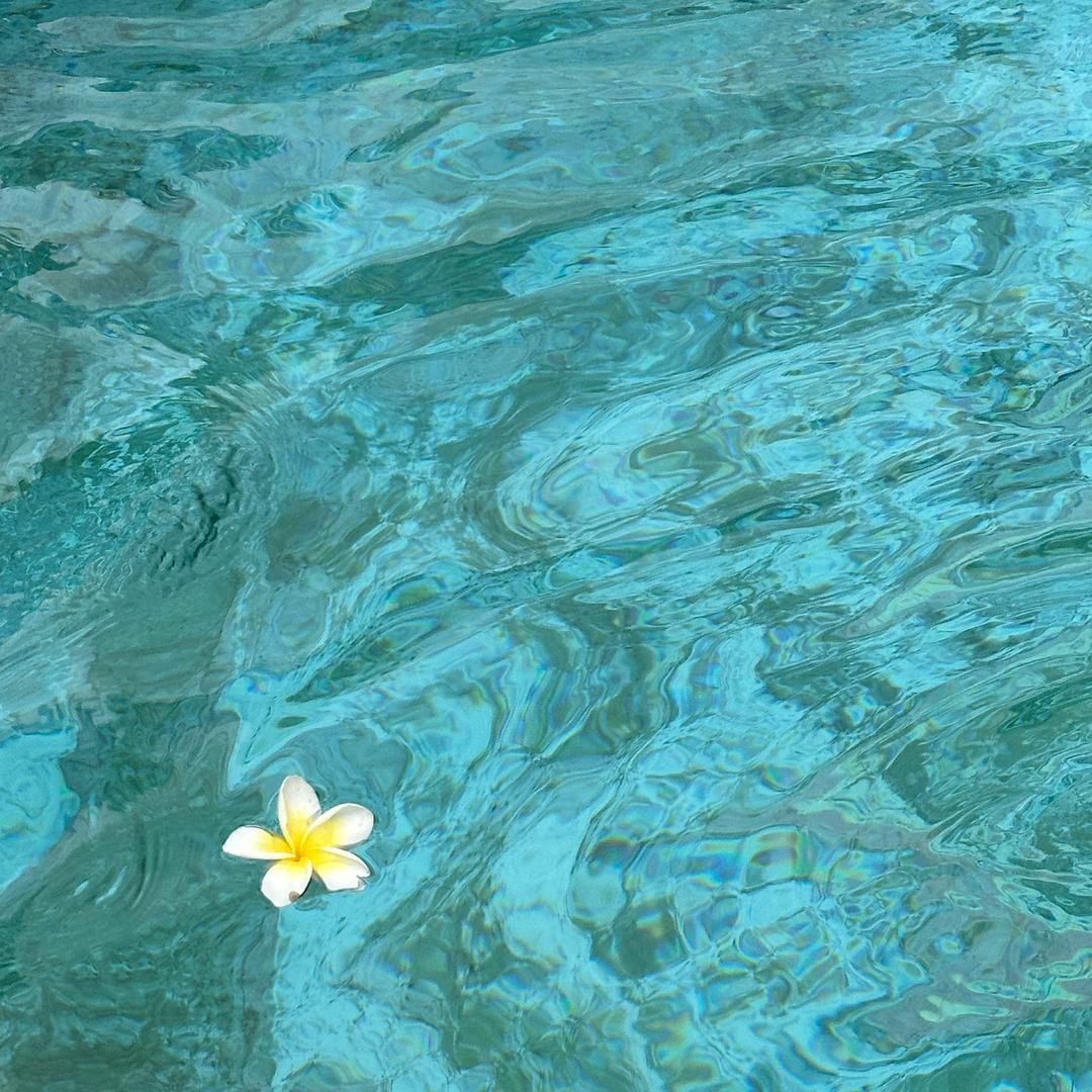 一脸熊样