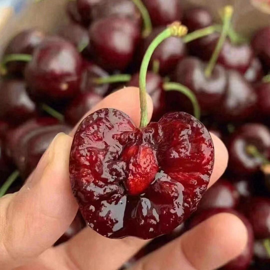 上海优莱源食品有限公司