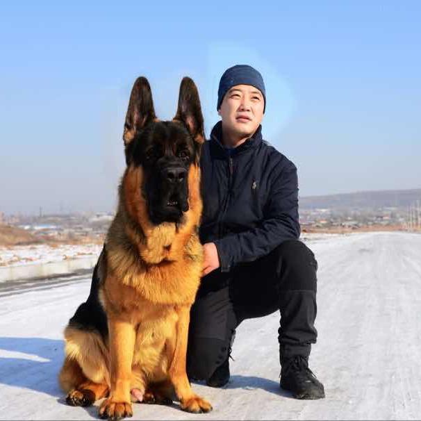 抚顺市新抚区小黑神犬业场