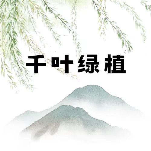 千叶绿植