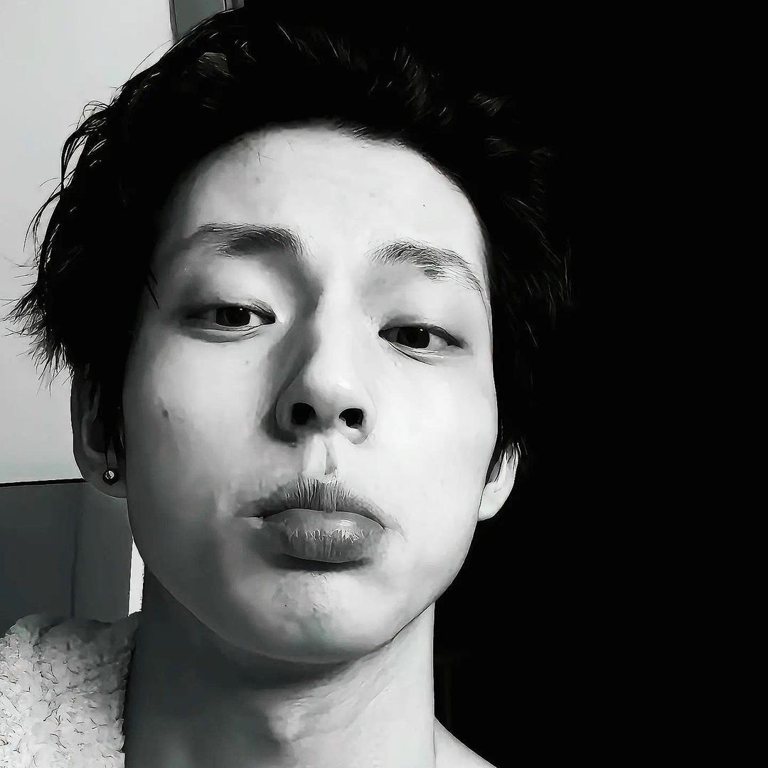 白鸽