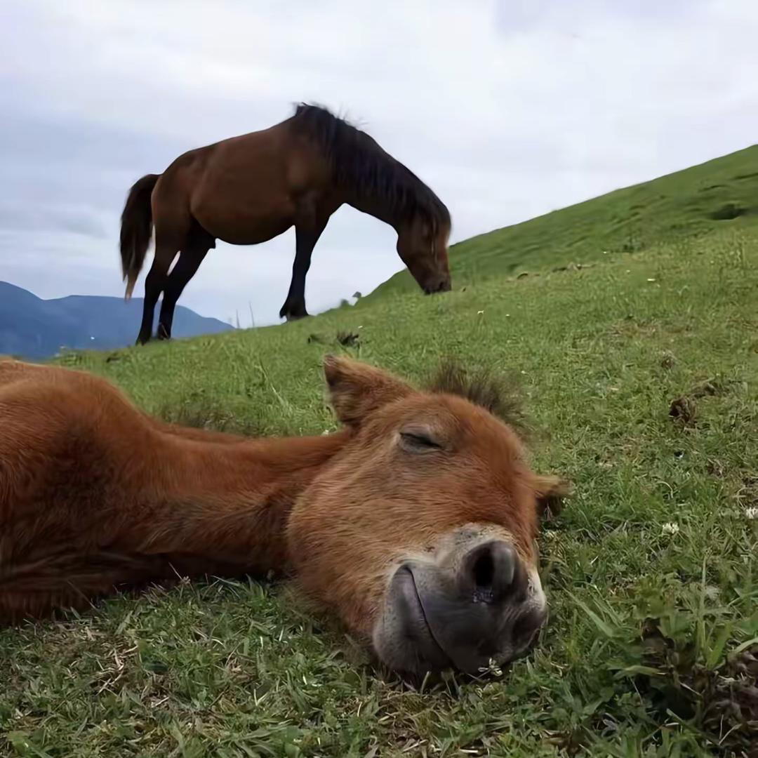 眼睛聋了