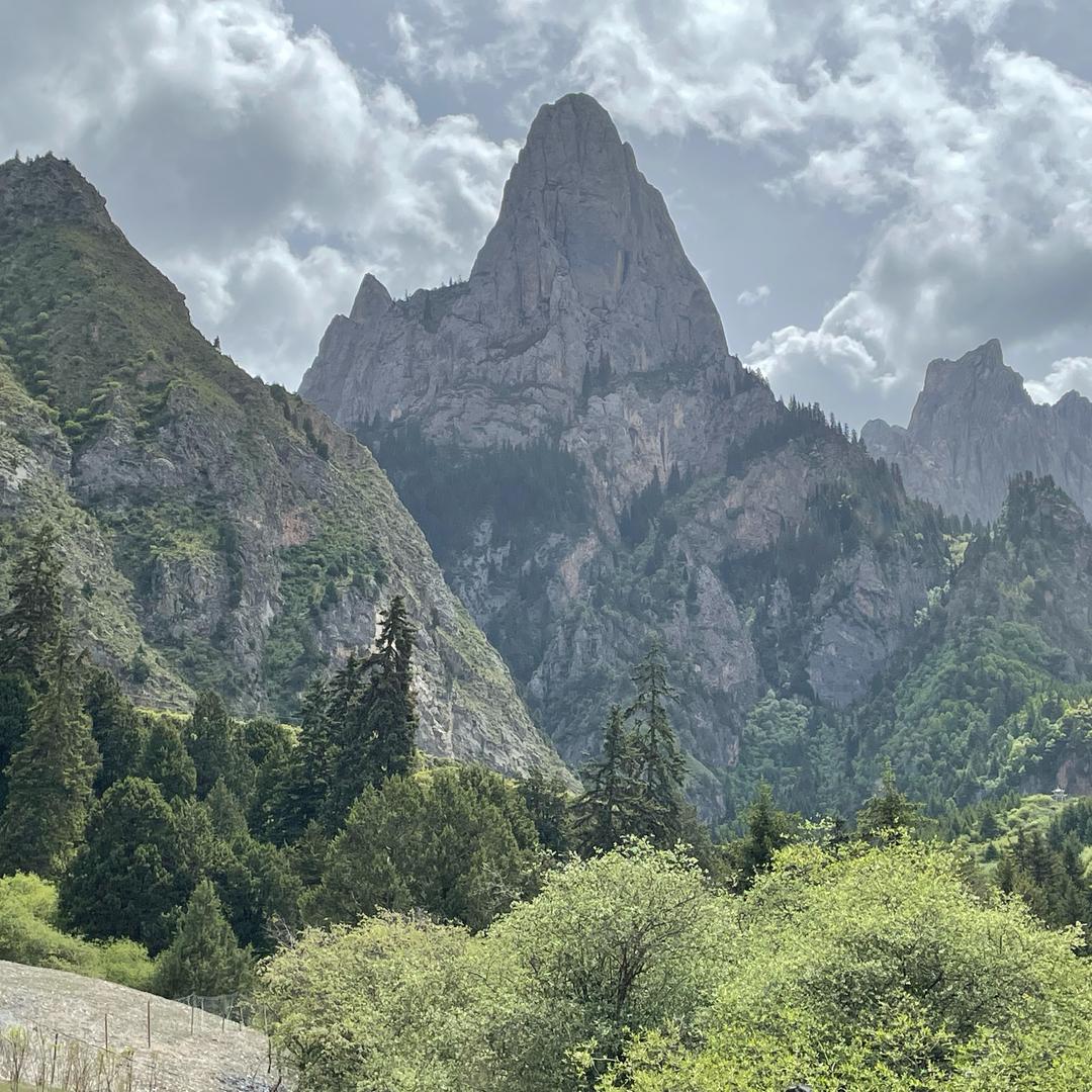巴德玛
