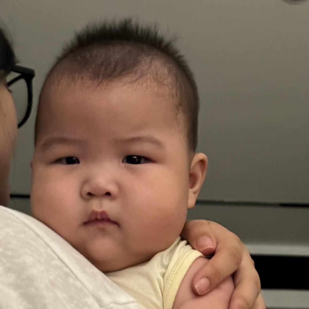 装睡洋葱
