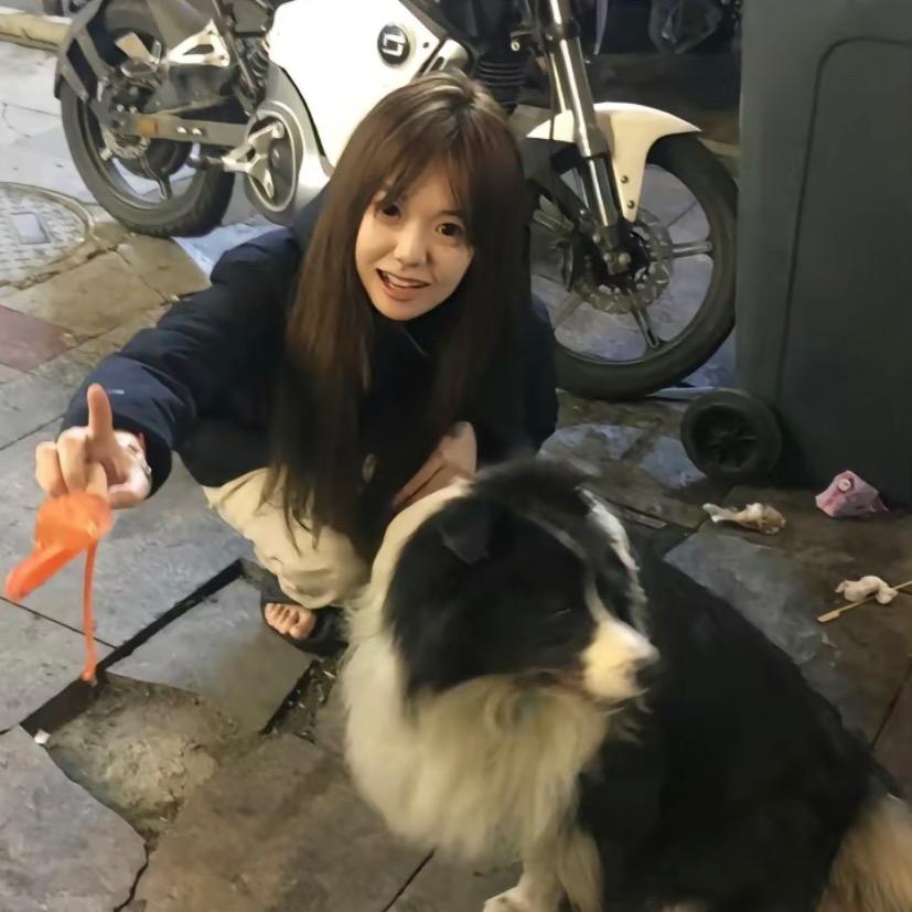 违停