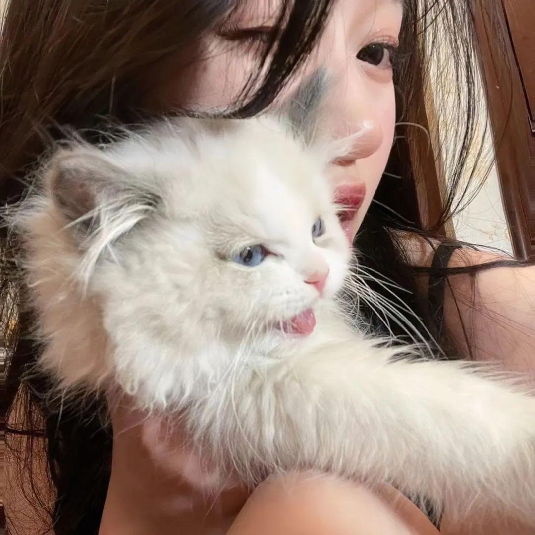 阿椰
