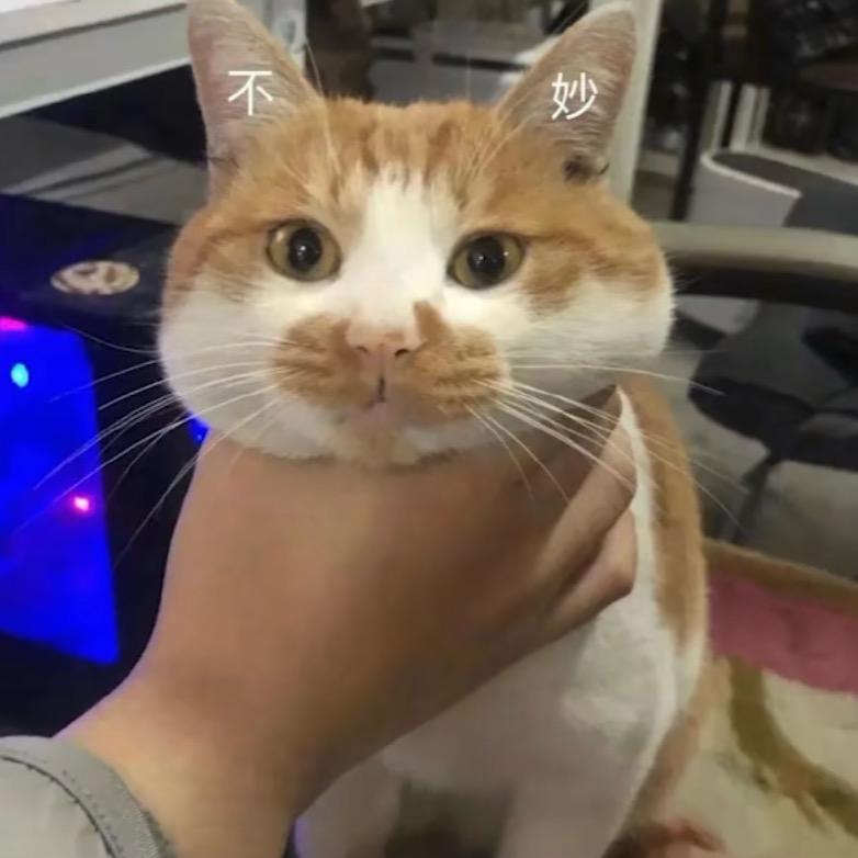 ¹²³⁴⁵⁶⁷⁸⁹
