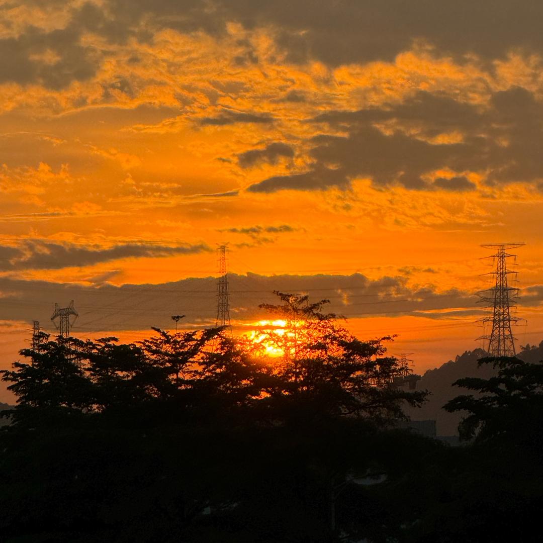 小周₍˄·͈༝·͈˄*₎◞ ̑̑