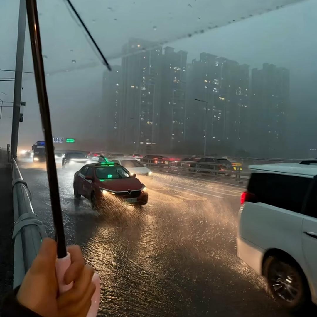 北风吹南国