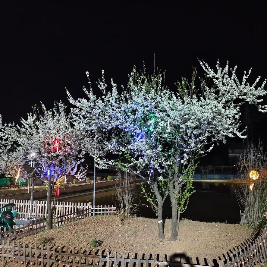 三九·垂钓烧烤生态园